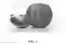 Fig. 04 - Apple Tree Named Howell TC3