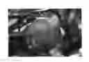 Fig. 01 - Apple Tree Named 'Howell TC2'