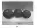 Fig. 06 - Citrus rootstock named 'UFR-3'