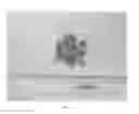 Fig. 07 - Citrus rootstock named 'UFR-3'