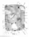 Fig. 02 - Extruded Self-Clumping Cat Litter