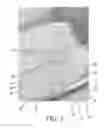 Fig. 06 - Extruded Self-Clumping Cat Litter