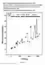 Fig. 22 - Hydrogen sulfide releasing compounds and their use