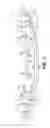 Fig. 03 - APPARATUS AND METHOD FOR CHILLING OR FREEZING
