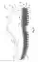 Fig. 03 - Impact absorbing shoe