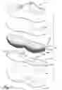 Fig. 05 - Impact absorbing shoe