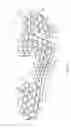 Fig. 07 - Sole system having movable protruding members