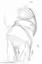 Fig. 03 - Shoe Insert
