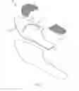 Fig. 05 - FOOTWEAR INSOLE SYSTEM