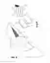 Fig. 04 - HEEL STRAP DEVICE AND METHOD TO USE THE SAME