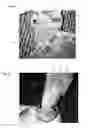 Fig. 04 - Versatile protective outerwear