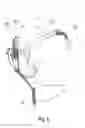 Fig. 09 - Convertible infant carrier