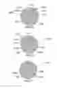 Fig. 22 - METHOD AND SYSTEM FOR QUANTITATIVE ASSESSMENT OF VERBAL RECOGNITION MEMORY