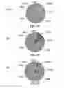 Fig. 23 - METHOD AND SYSTEM FOR QUANTITATIVE ASSESSMENT OF VERBAL RECOGNITION MEMORY