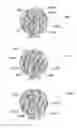 Fig. 24 - METHOD AND SYSTEM FOR QUANTITATIVE ASSESSMENT OF VERBAL RECOGNITION MEMORY