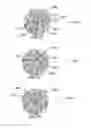 Fig. 26 - METHOD AND SYSTEM FOR QUANTITATIVE ASSESSMENT OF VERBAL RECOGNITION MEMORY