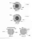 Fig. 29 - METHOD AND SYSTEM FOR QUANTITATIVE ASSESSMENT OF VERBAL RECOGNITION MEMORY