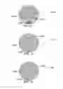 Fig. 30 - METHOD AND SYSTEM FOR QUANTITATIVE ASSESSMENT OF VERBAL RECOGNITION MEMORY