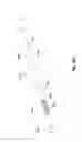 Fig. 20 - CANNULA