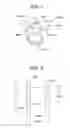 Fig. 02 - Tympanic membrane pressure equalization tube