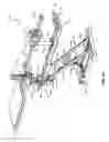 Fig. 02 - Lower extremity positioning assembly and table extension