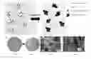 Fig. 01 - POLYMER MATRICES FOR CONTROLLING CRYSTALLIZATION