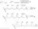 Fig. 06 - Method of using fibrous tissue sealant