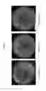 Fig. 12 - Method of treating microbial infections