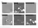 Fig. 03 - HIF-1 modulator paint formulation and uses thereof