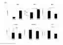 Fig. 07 - HIF-1 modulator paint formulation and uses thereof