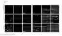 Fig. 11 - HIF-1 modulator paint formulation and uses thereof
