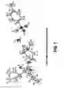 Fig. 02 - Glycopyrrolate salts