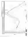 Fig. 33 - Glycopyrrolate salts