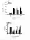 Fig. 03 - METHOD FOR CONCURRENT TREATMENT OF PAIN AND DEPRESSION