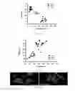 Fig. 04 - METHOD FOR CONCURRENT TREATMENT OF PAIN AND DEPRESSION