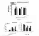 Fig. 07 - METHOD FOR CONCURRENT TREATMENT OF PAIN AND DEPRESSION
