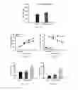 Fig. 09 - METHOD FOR CONCURRENT TREATMENT OF PAIN AND DEPRESSION