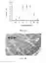 Fig. 03 - Materials and methods for improving gastrointestinal function