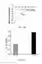 Fig. 07 - Materials and methods for improving gastrointestinal function