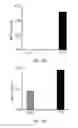 Fig. 08 - Materials and methods for improving gastrointestinal function
