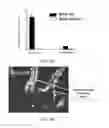 Fig. 09 - Materials and methods for improving gastrointestinal function