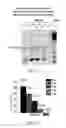 Fig. 17 - Materials and methods for improving gastrointestinal function