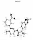 Fig. 16 - Solid forms of 3-(6-(1-(2,2-difluorobenzo[d][1,3]dioxol-5-yl)cyclopropanecarboxamido)-3-methylpyridin-2-yl)benzoic acid