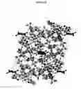 Fig. 19 - Solid forms of 3-(6-(1-(2,2-difluorobenzo[d][1,3]dioxol-5-yl)cyclopropanecarboxamido)-3-methylpyridin-2-yl)benzoic acid