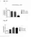 Fig. 02 - Systems and Methods for Treating an Opioid-Induced Adverse Pharmacodynamic Response