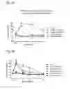 Fig. 13 - Systems and Methods for Treating an Opioid-Induced Adverse Pharmacodynamic Response
