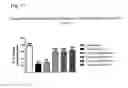 Fig. 17 - Systems and Methods for Treating an Opioid-Induced Adverse Pharmacodynamic Response