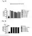 Fig. 05 - Systems and Methods for Treating an Opioid-Induced Adverse Pharmacodynamic Response