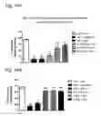 Fig. 20 - Systems and Methods for Treating an Opioid-Induced Adverse Pharmacodynamic Response