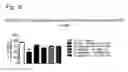 Fig. 22 - Systems and Methods for Treating an Opioid-Induced Adverse Pharmacodynamic Response